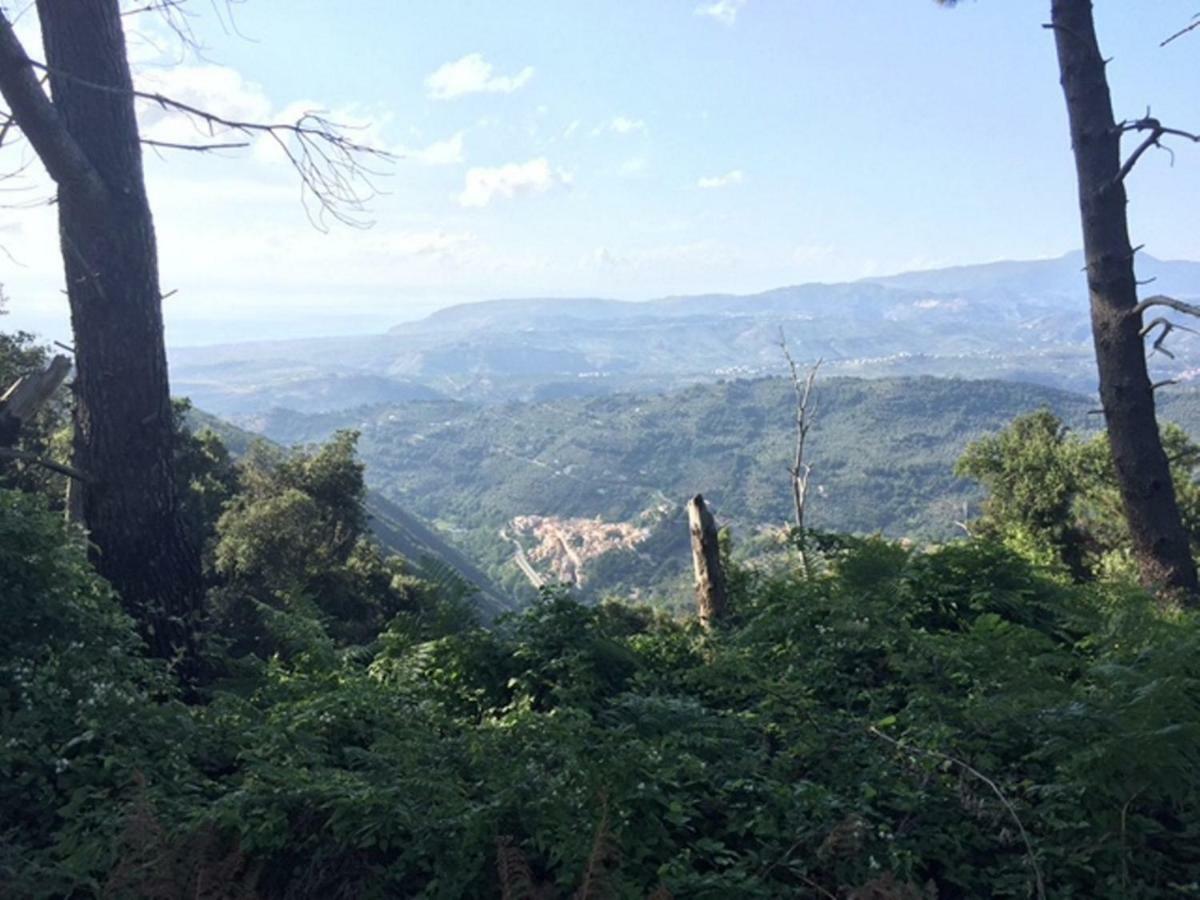 B&B Grandinetti Nocera Terinese Kültér fotó
